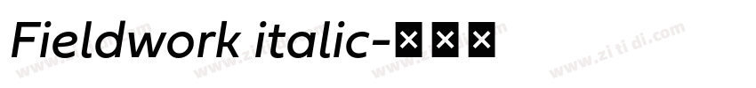 Fieldwork italic字体转换